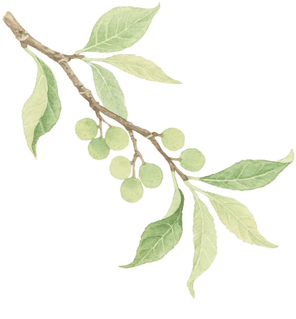 白云山又上新！打卡走起